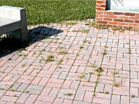 Pavers & Maintenance